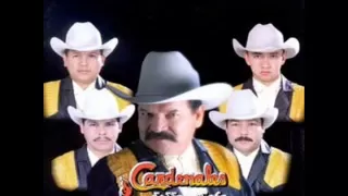 Los Cardenales De Nuevo León Mix ( EN VIVO)