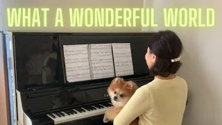 What a Wonderful World by Louis Armstrong with Yamaha YUS5 and a Pomeranian Puppy