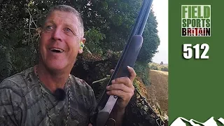 Fieldsports Britain - Crow's pigeon happy place