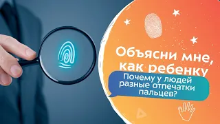 Почему у людей разные отпечатки пальцев? | Объясни мне, как ребенку!