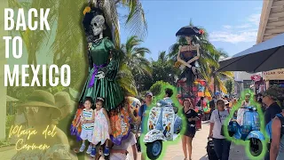 Back to Playa del Carmen, Cancun | Indian living in Mexico (Yogi)