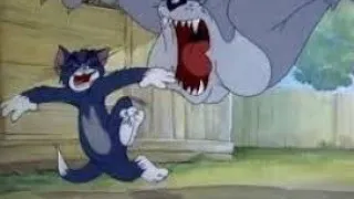 Desene Tom si Jerry Vechi - Catelul Nervos partea 1