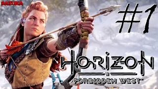 ПРОХОЖДЕНИЕ HORIZON 2: FORBIDDEN WEST/ ПРОХОЖДЕНИЕ ХОРАЙЗОН ФОРБИДДЕН ВЕСТ/ PS5