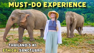 This Was INCREDIBLE! Thailand's BEST Elephant Sanctuary Experience 🐘