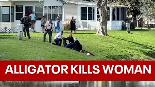 Massive alligator kills woman walking her dog next to pond