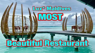 Luxurious BUFFET BREAKFAST at Lux South Ari Atoll Maldives!!!