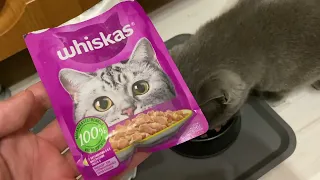 Влажный корм для кошек WHISKAS кусочки в желе с курицей