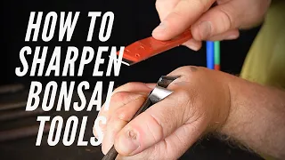 How to sharpen bonsai scissors and branch cutters