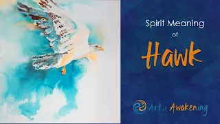 Hawk Totem - Spirit Meaning of Hawk (Hawk Power Animal)