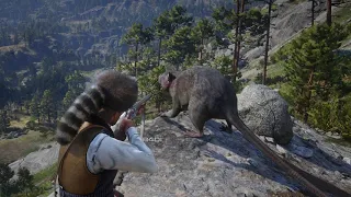 Arthur hunts for the Legendary Rat...