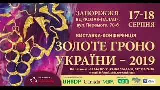 ЗОЛОТЕ ГРОНО 2019