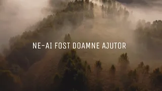 @MILIDINBARBULESTI  - Ne-ai fost Doamne ajutor [ Feat.Elvis ]( Video Official 2022)