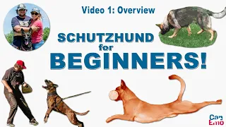 Online Schutzhund Training For Beginners: Overview