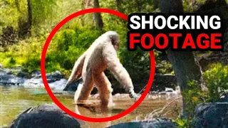 Shocking Trail Cam Footage You Should Avoid Watching