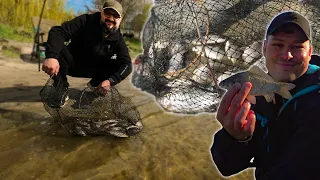 Карасі самі стрибають у садок від нашої прикормки  ● RoMaX Fishing