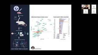 [Nicola Fattorelli] Stem-cell-derived human microglia transplanted into mouse brain to study human..