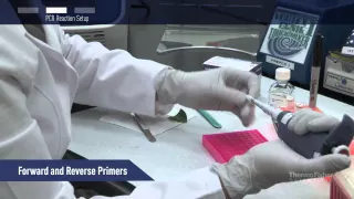 How to perform PCR directly on an unpurified sample in under 30 min