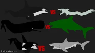 Orca vs Great white shark,Sperm whale vs megalodon,Air craft orca vs Air plane shark