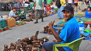 Fiji Island Nadi Town Tour In the South Pacific