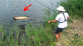 ОПЯТЬ КАРП ВЗЯЛ СОСКУ!!! КАРП и КАРАСЬ на ЧУДО СНАСТЬ 🐟 РЫБАЛКА ЖАРКИМ ЛЕТОМ