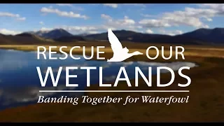 Rescue Our Wetlands