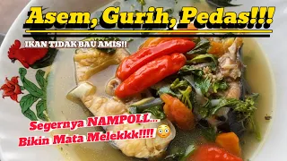 Mata Melek gara-gara makan ini 😳 segernya POLL❗️SUP IKAN PATIN KEMANGI