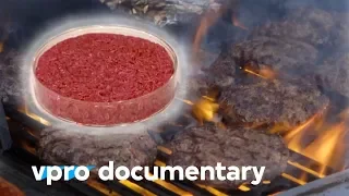 How clean meat will change the food industry - Docu