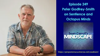 Mindscape 249 | Peter Godfrey-Smith on Sentience and Octopus Minds