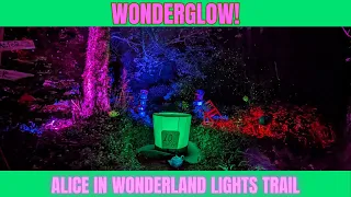 Experience the full one mile Wonderglow ALICE IN WONDERLAND lights trail with me! (Flashing lights)
