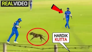 Rohit Sharma got hilarious when the crowd shouting "Hardik K*TTA" after the dog entered in MI vs GT