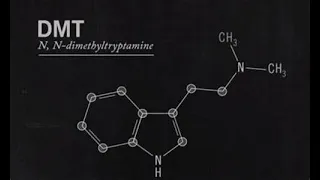 DMT RUINED MY LIFE- 2 years later