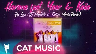 Havana feat. Yaar & Kaiia - Big Love (DJ Mephisto & Festum Music Remix)