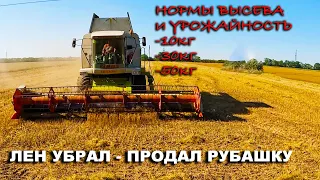 Урожайность льна на разных нормах высева