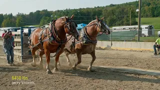 2022 Fall Pull Heavy Overweight horse pull