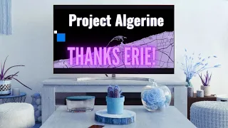 Thank You Erie! - Project Algerine