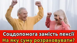 Увага! Кому та коли призначають  соціальну допомогу замість пенсії, на яку суму можна розраховувати?