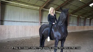 How to ride in a cordeo: When Horses Choose