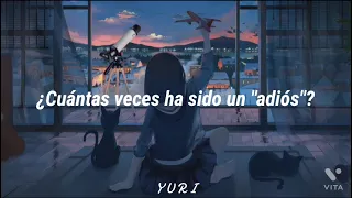 Teishoku P - 流星メテエシカ [Ryuusei Meteeshika] Letra Sub Español