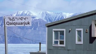 Narwhal and Polar Bear Safari | Arctic Kingdom