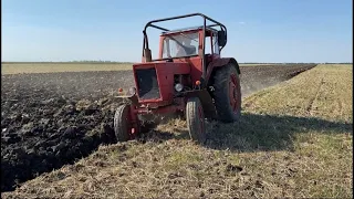 MTZ 50 Őszi szántás búzatarlón 2021