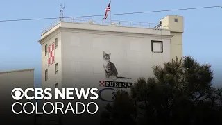 Class action lawsuit filed against Purina for foul odors