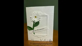 Clean & Simple White on White Daisy Card