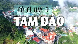 Đi xem Tam Đảo có gì hay, Check in ở đâu đẹp / Chia sẻ kinh nghiệm du lịch tự túc