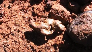 Metal Detecting for Gold Nuggets in WA 2014 (pt 4)