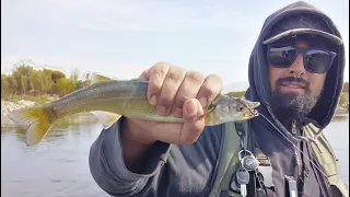 pesca de pejerrey chileno rio maipo