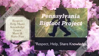 Pennsylvania Bigfoot Project: St. Louis County, MN Howls