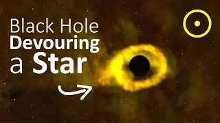 Found: Black Hole Shreds A Star