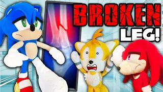 Sonic's Broken Leg! - Sonic and Friends