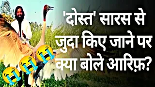 आरिफ और सारस की सच्ची कहानी सब खत्म हो गया | Arif Saras Ki Dosti sab Khatam Ho gaya 😭😭😭