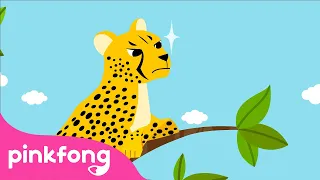 Gepard🐆 | Tierlieder | Kinderlieder von Baby-Hai | Baby Shark Deutsch | Pinkfong Kinderlieder